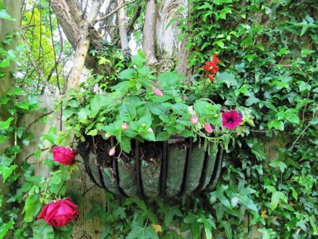 Teach Na Coiribe B&B Castlegar Esterno foto